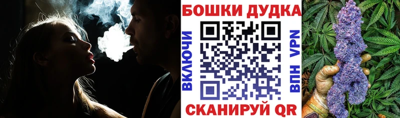 как найти   Оренбург  Шишки марихуана сатива 